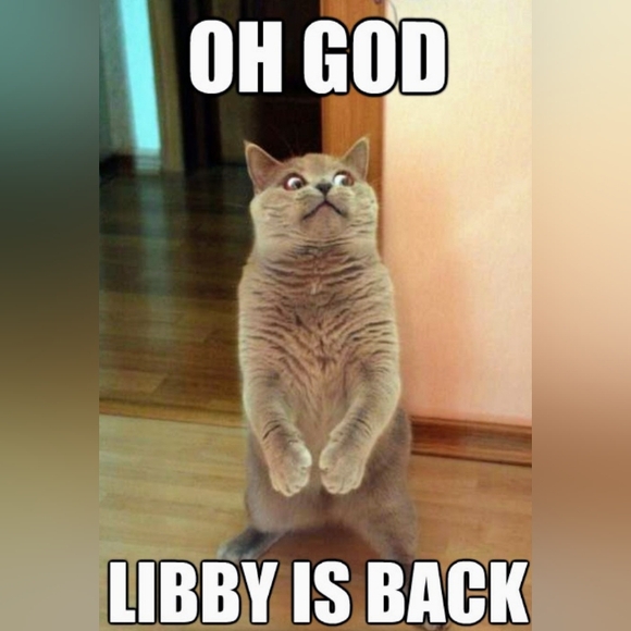 π²πππππ¬ πΆπ πππ©ππ» - Picture 2 of 14